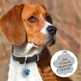 Personalized Dog ID Tag Glitter Engraved Dogs Name