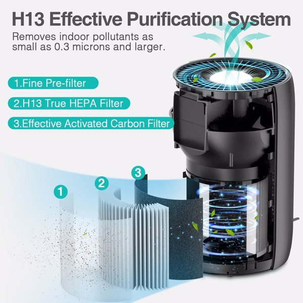 Luftreiniger für den großen Raum H13 HEPA-Filter-Luftreiniger für zu Hause
