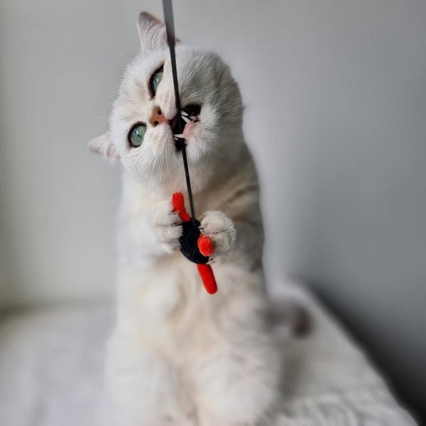 NINJA Saveplace® plush cat toy with long gummy string